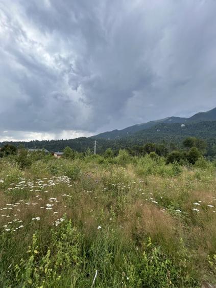 Teren de 1724 mp, în Nord