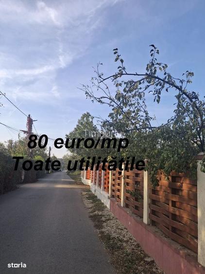 Spațiu comercial, în Balotești
