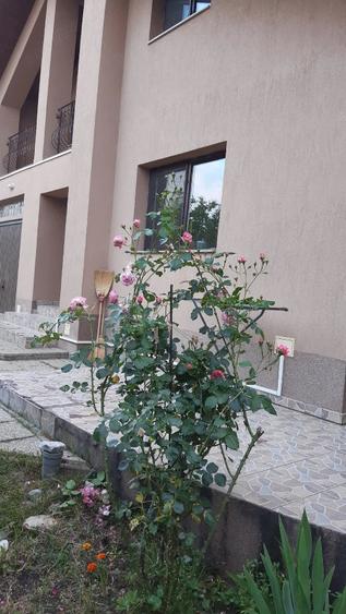 Casă cu 5 camere cu Teren 550 Mp în Central