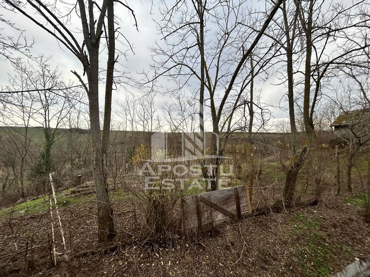 Teren Construcții intravilan de 3920 mp, în Herneacova