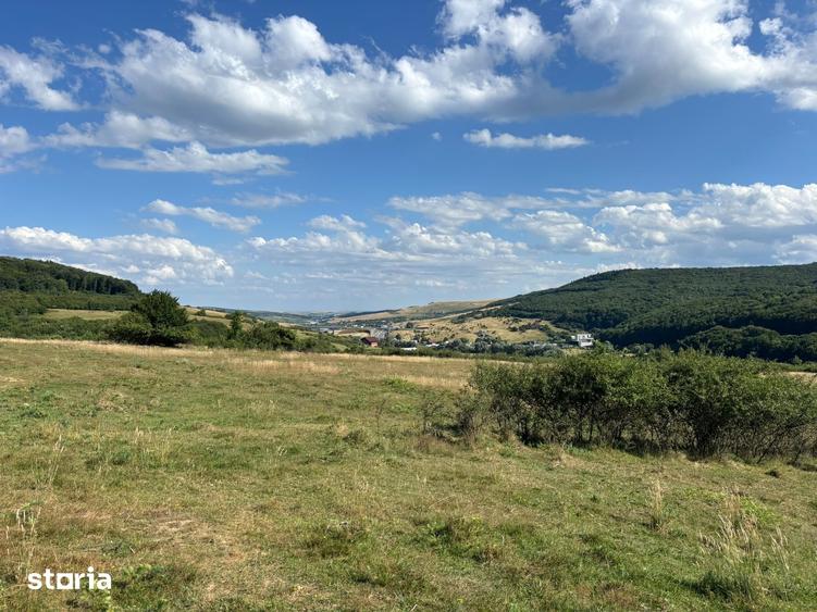 Teren de 1000 mp, în Feleacu