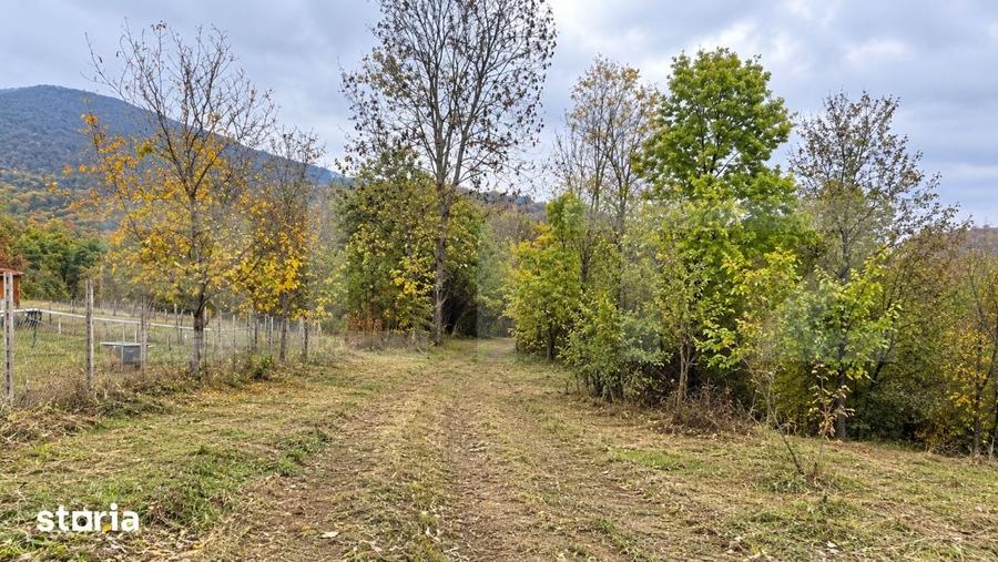 Teren de 4950 mp, în Certeju de Sus