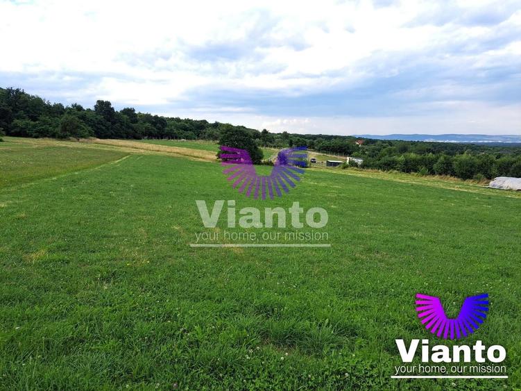 Teren agricol extravilan de 6200 mp, în Rășinari