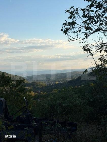 Casă cu 4 camere cu Teren 3596 Mp în Certeju de Sus