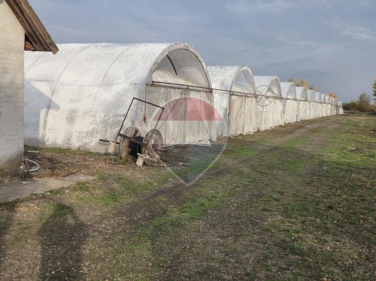 Teren agricol intravilan de 24732 mp, în Vest