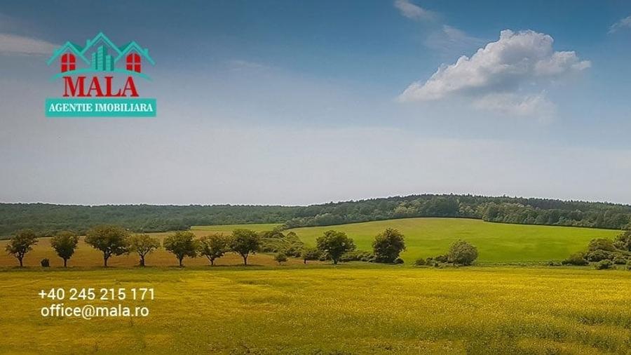 Teren Construcții intravilan de 4600 mp, în Valea Voievozilor