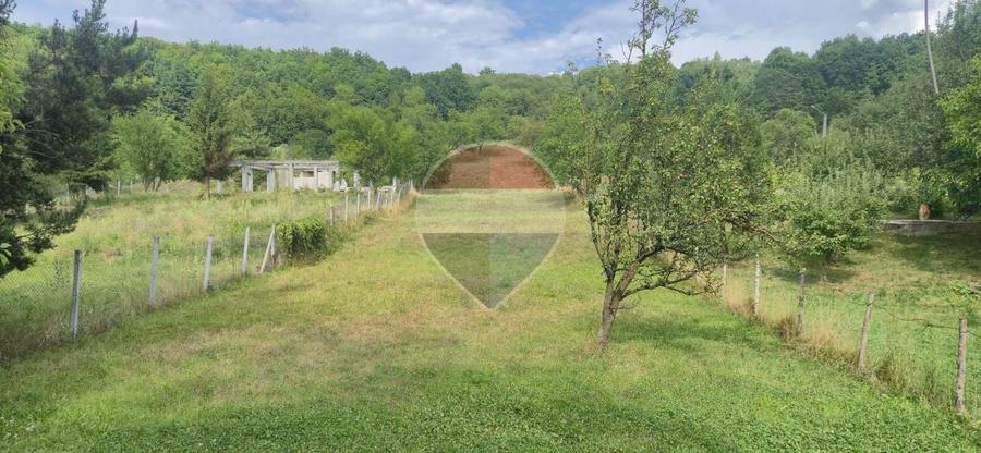 Teren Construcții intravilan de 4865 mp, în Nord-Est