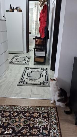 Apartament cu 2 camere decomandat în Sânpetru