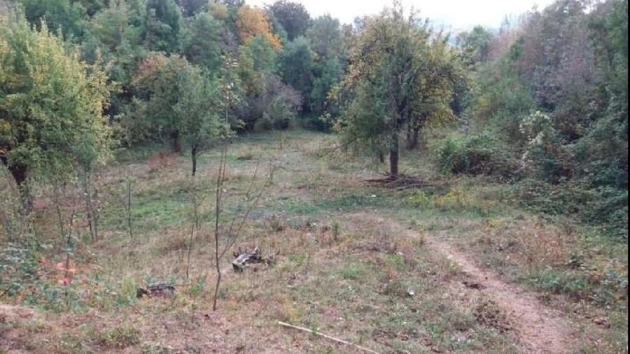 Teren intravilan de 7500 mp, în Moțăieni