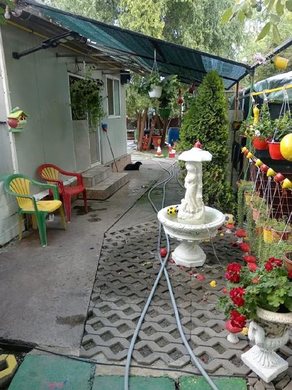 Casă cu 3 camere cu Teren 1115 Mp în Poarta Albă