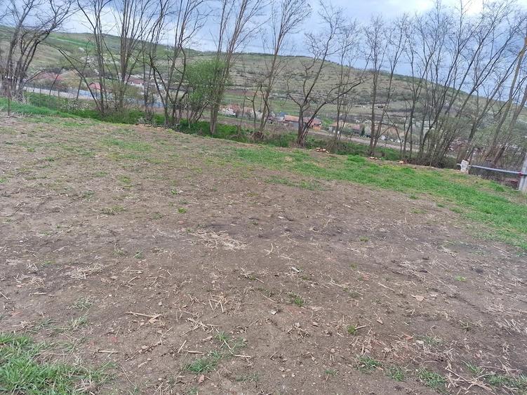 Casă cu Teren 10000 Mp în Căianu