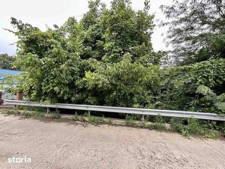Teren intravilan Iasi 1.561 mp Bucium Plopii fara So? la 2 drumuri - 5