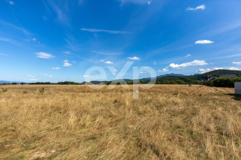 Teren Construcții intravilan de 4260 mp, în Glăjărie