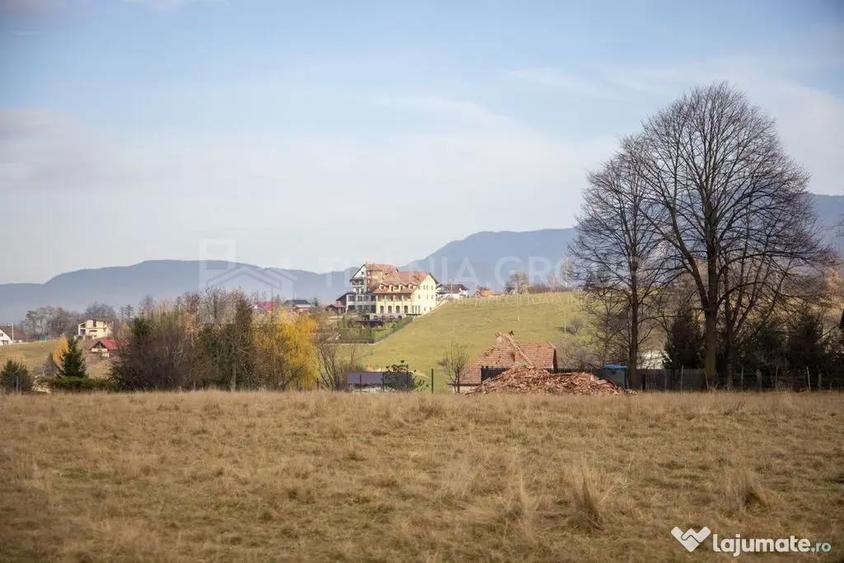 Teren de 3364 mp, în Sohodol