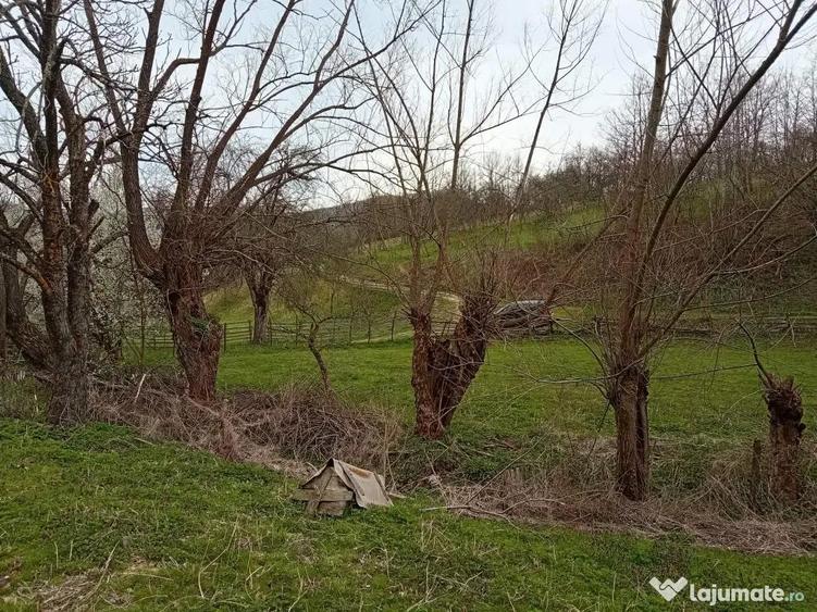 Casă cu 4 camere în Poieni (Densuș)