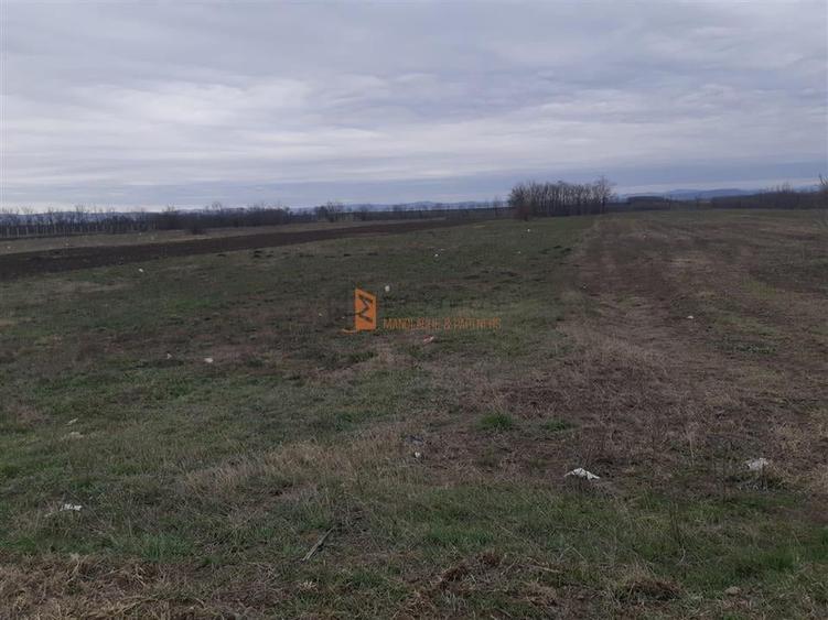 Teren Construcții intravilan de 5000 mp, în Vadu Pașii