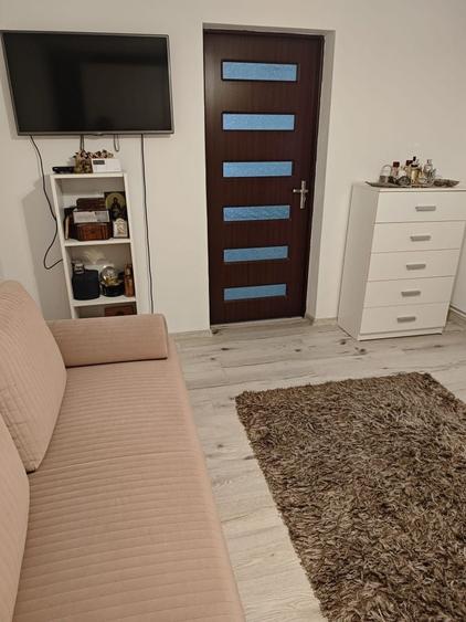 Casa Mischii teren 1000mp - 7
