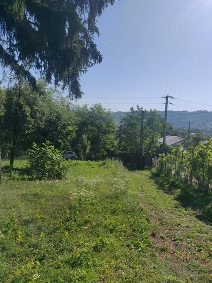 Teren de 600 mp, în Central