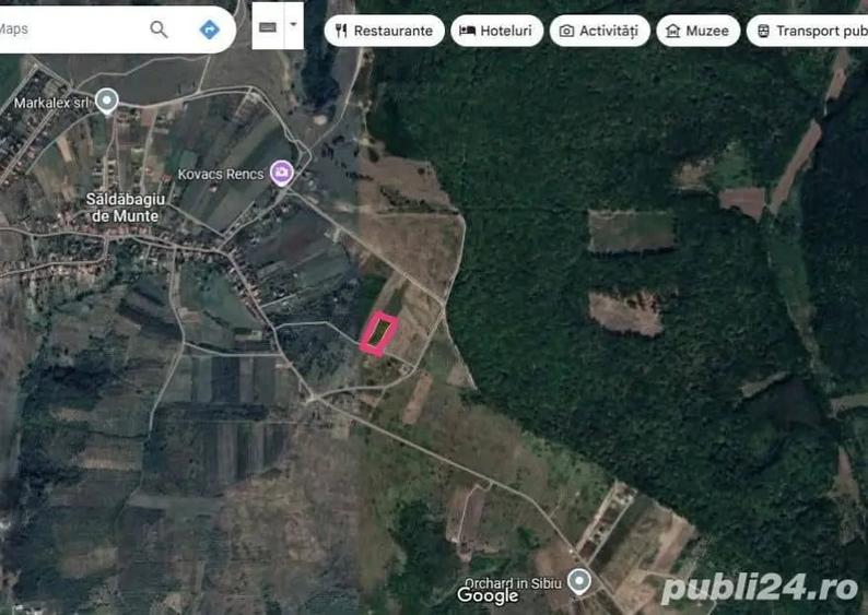 Teren de 3000 mp, în Săldăbagiu de Munte