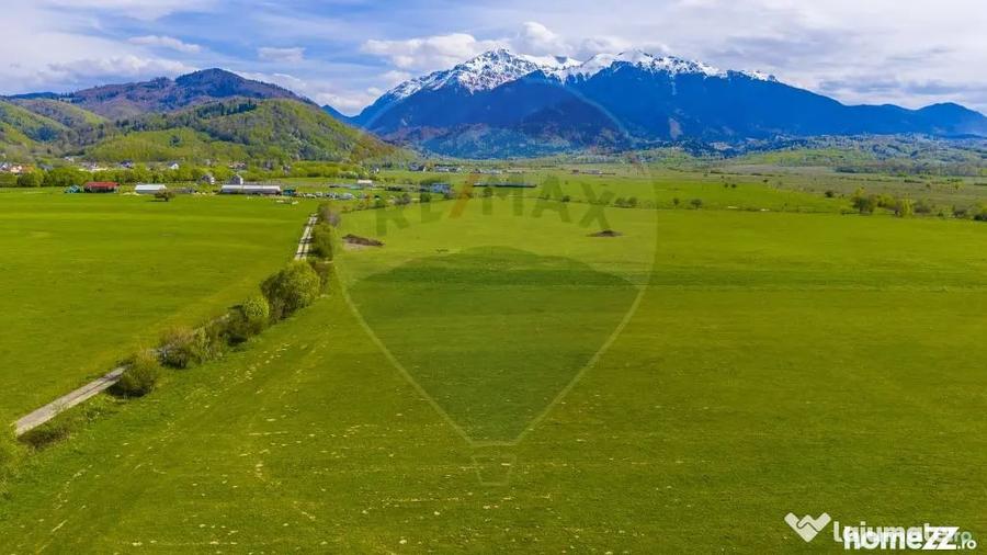 Teren 3000mp de vanzare in Ra?nov / Panicel - Rasnov (Brasov) - 15