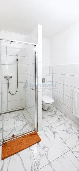 Proprietate specială, în Remetea