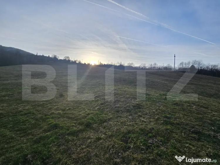 Teren de 16667 mp, în Abrud-Sat