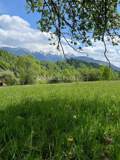 Oportunitate perfecta pentru un proiect turistic - 3.274 mp in Simon, Bran - pensiune, boutique-hotel, vile de vacanta sau complex eco-turistic