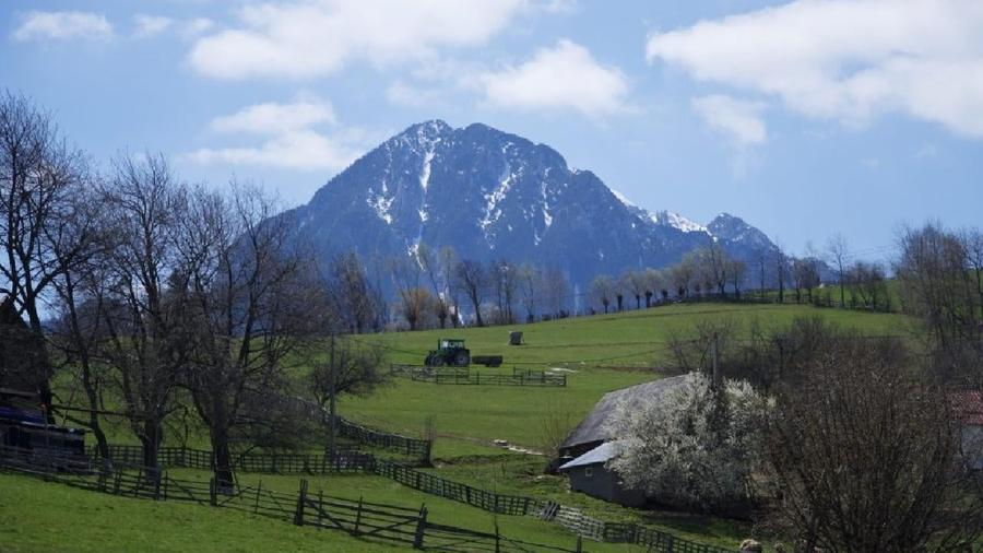 Teren agricol extravilan de 335000 mp, în Poiana Mărului