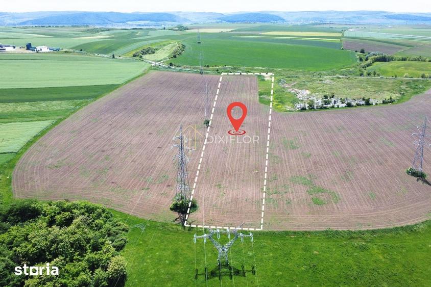 Teren de 15300 mp, în Central