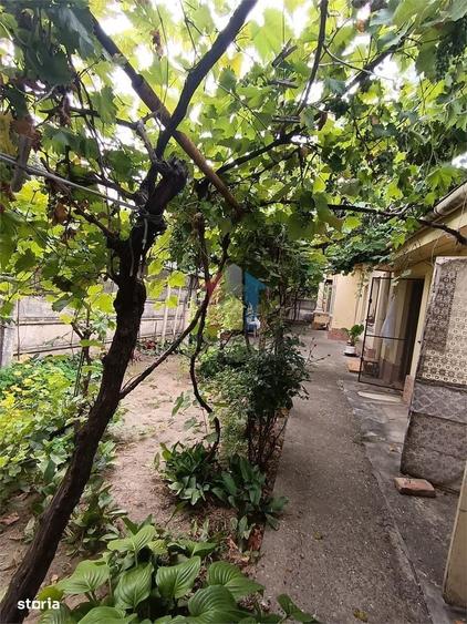 Casa 3 camere caramida si boltari, zona Centrala , Sup terenului 397 - 10
