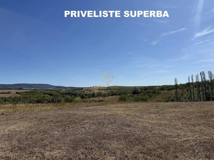 Teren de 1439 mp, în Viile Satu Mare