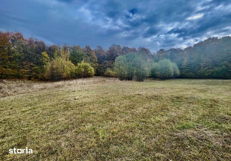 Teren de 22800 mp, în Mihăești