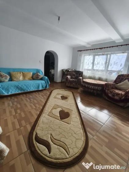 Casă cu 4 camere cu Teren 6000 Mp în Negostina