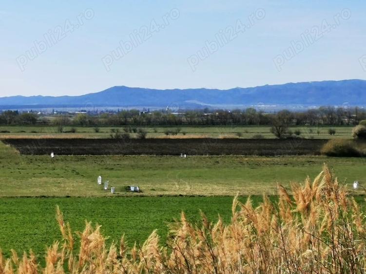 Teren de 7000 mp, în Bod
