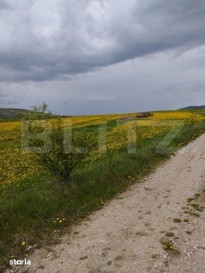 Teren de 3621 mp, în Petrești