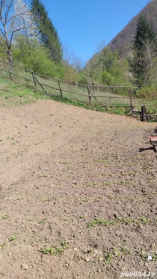 Casă cu Teren 728 Mp în Luncanii de Jos