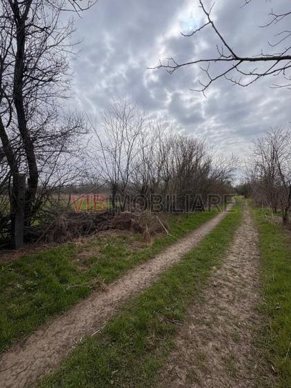Teren intravilan de 423 mp, în Jilava