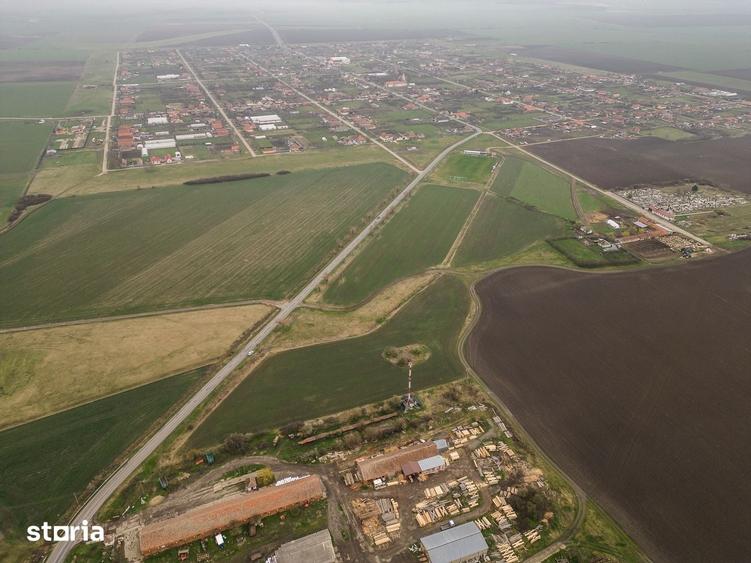 Teren de 7000 mp, în Sântana