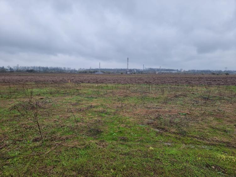 Teren Construcții intravilan de 400 mp, în Tărtășești