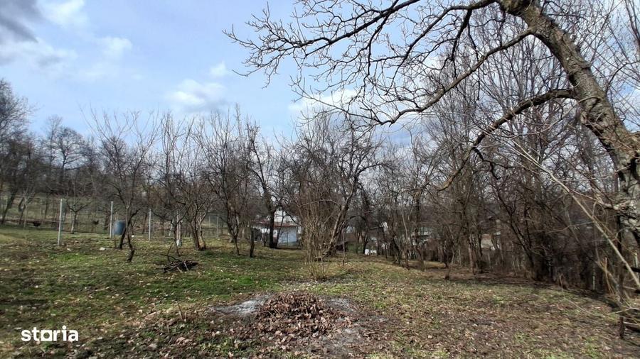 Casa cu teren generos de vanzare in Poiana Campina - 11
