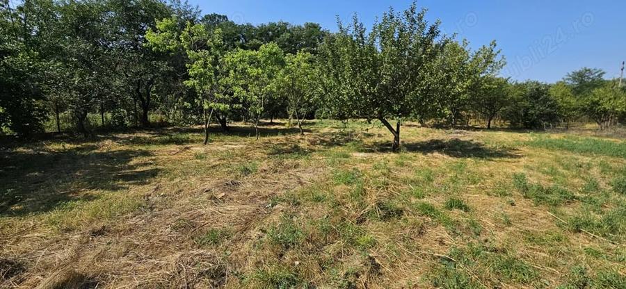 Casă cu 4 camere în Ghirdoveni
