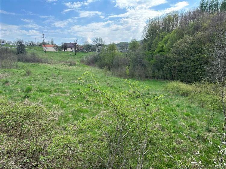 Teren extravilan de 3060 mp, în Luncoiu de Sus