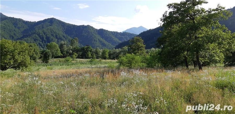 Teren de 4150 mp, în Drăgănești (Brezoi)