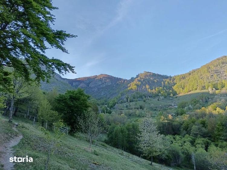Teren Poiana Lunga,Cornereva - 2
