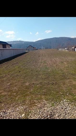 Vand teren,25 de euro/mp,Dumbrava rosie,utilitatile la limita prop. - 6