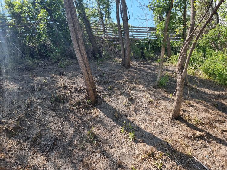 Teren Construcții intravilan de 1809 mp, în Moțăieni