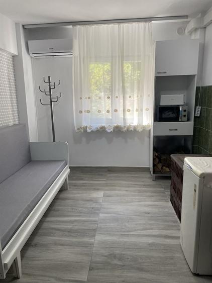 Apartament cu 2 camere decomandat în Pecinișca
