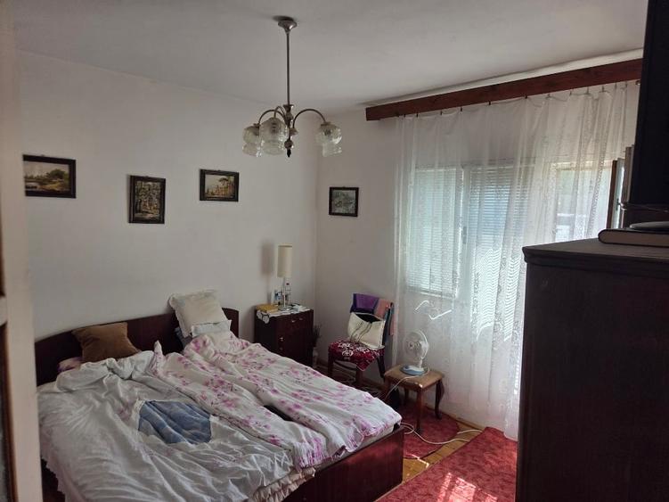 Casă individuală cu 5 camere cu Canalizare în Peciu Nou