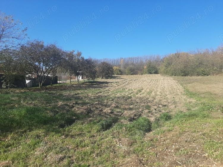 Teren de 1780 mp, în Călinești
