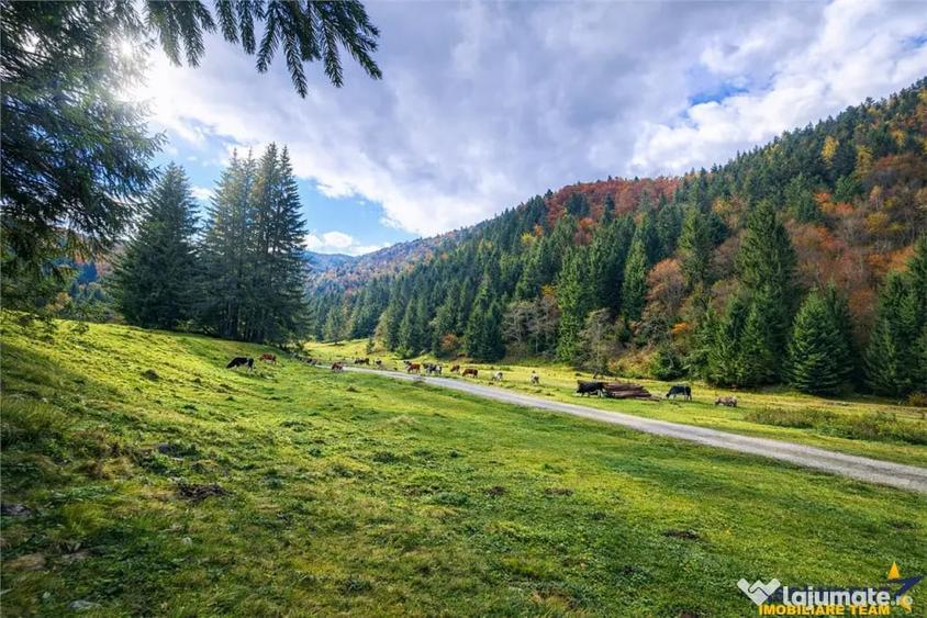 Teren în Zărnești